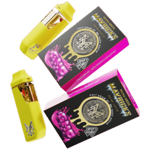 GMO Mavricks